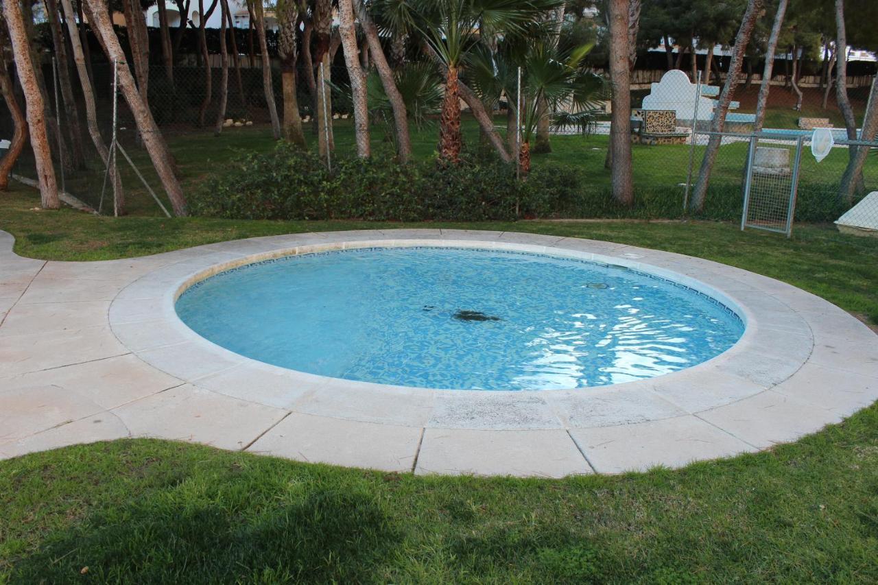 New Apartment With Sea View Of Andrew And Natallia Campoamor Exterior foto